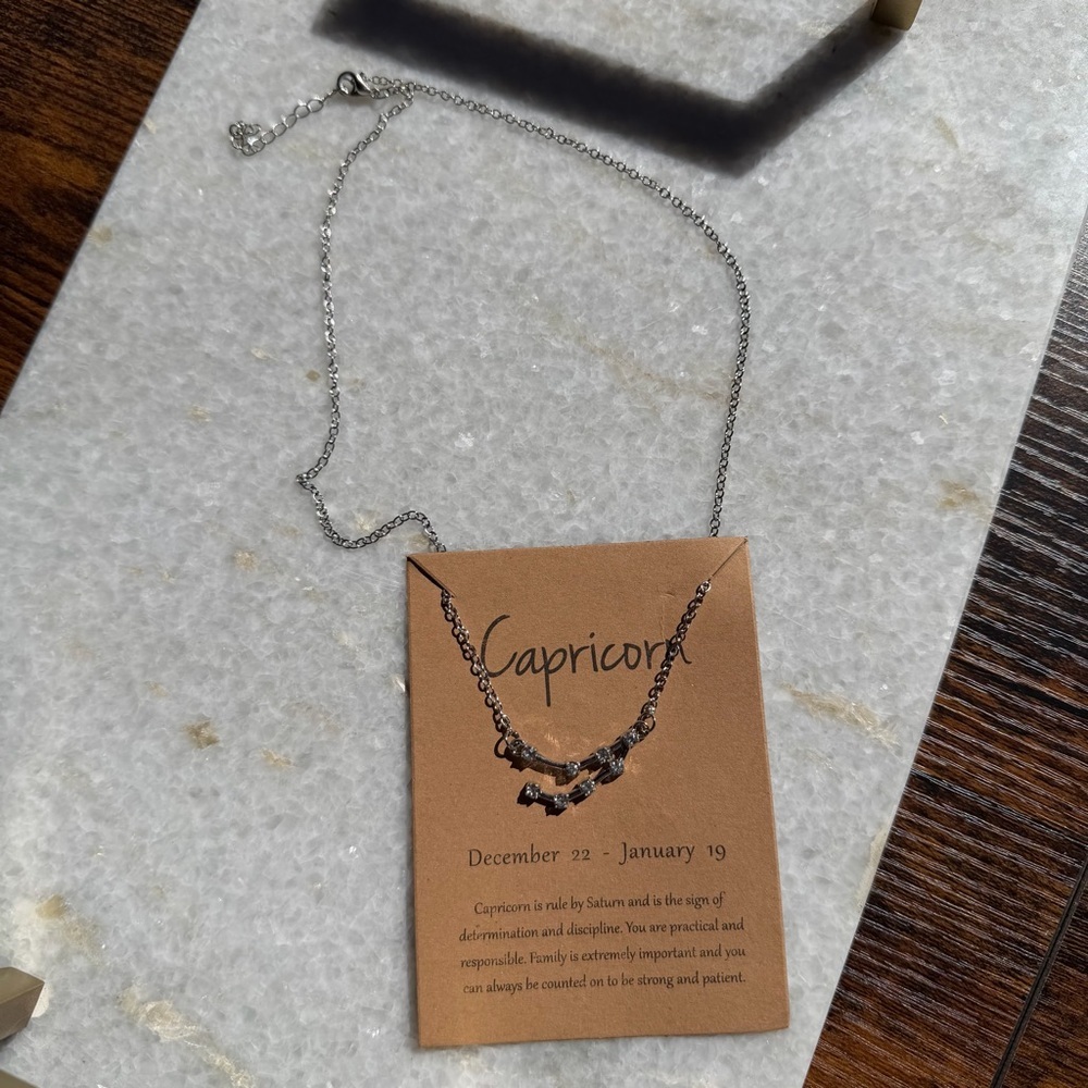 Silver Capricorn Zodiac Constellation Necklace